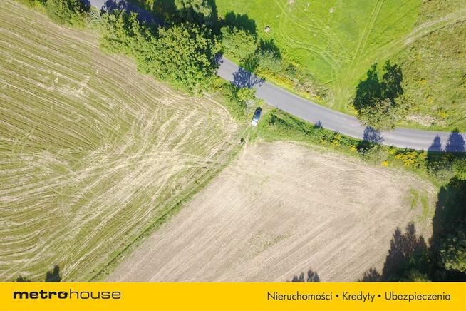 Działka pod lasem, cena do negocjacji!