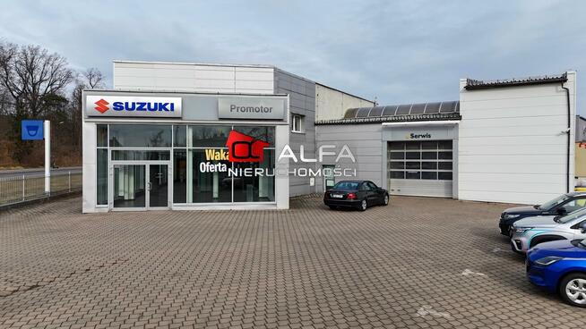 Lokal użytkowy Świdnica