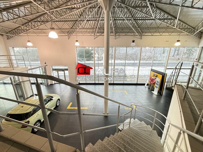 Lokal użytkowy Świdnica