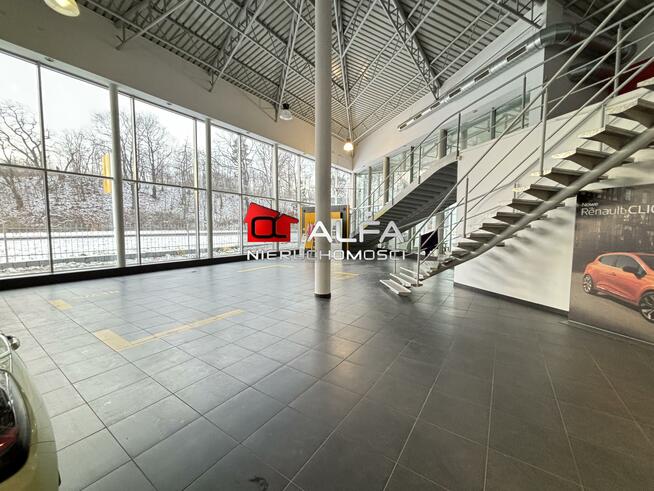 Lokal użytkowy Świdnica