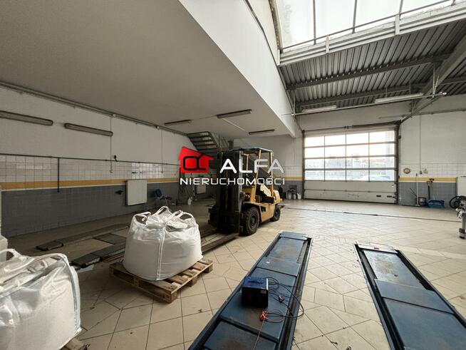 Lokal użytkowy Świdnica