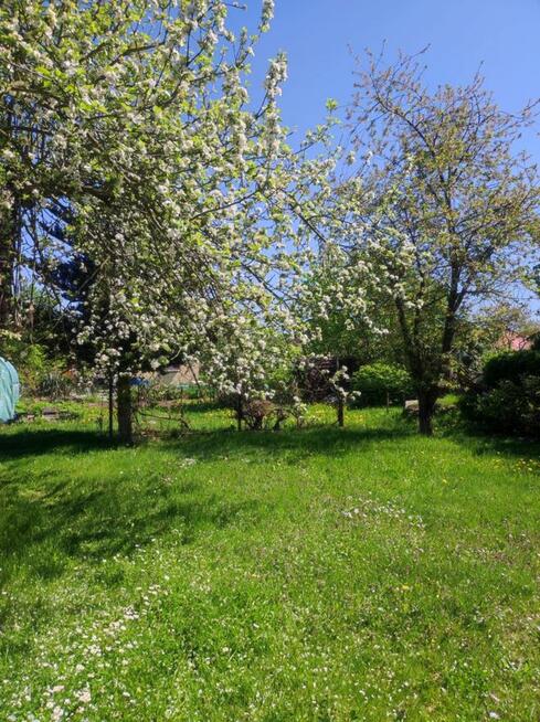 Sprzedam dzialkę na R.O.D Sahara w Lubinie