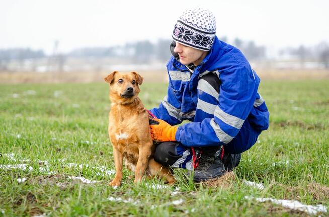 Cudowny, nieduży Rożek szuka domu!