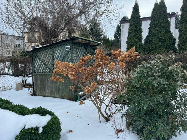 Sprzedam działkę ROD Społem