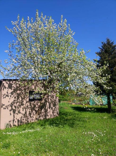 Sprzedam dzialkę na R.O.D Sahara w Lubinie