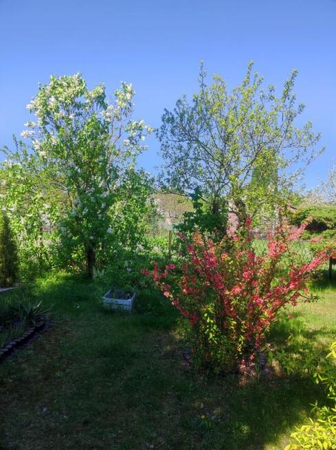 Sprzedam dzialkę na R.O.D Sahara w Lubinie