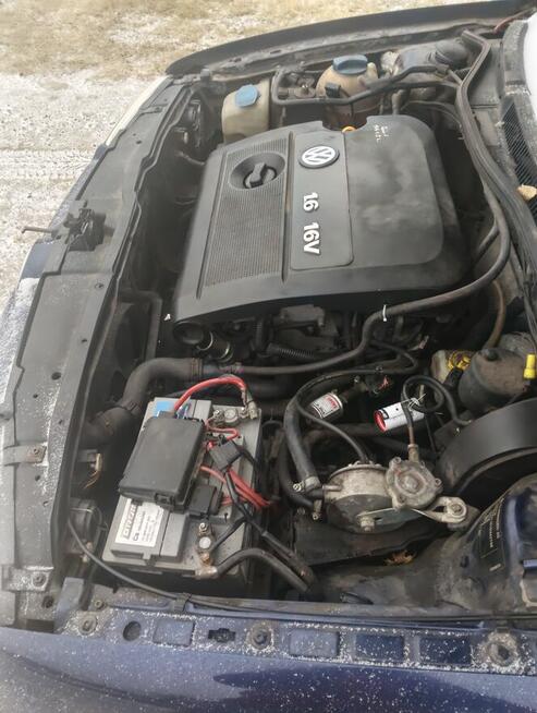 Fajny golf z gazem i hakiem