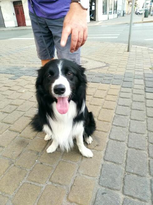 Poznam KOBIETĘ ( tylko) do koleżeństwa, szczerej przyjażni