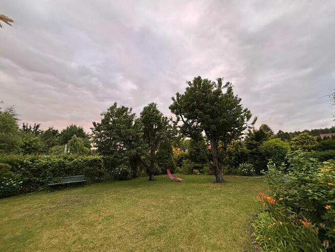 Przeurocza działka ROD w Bożenkowie