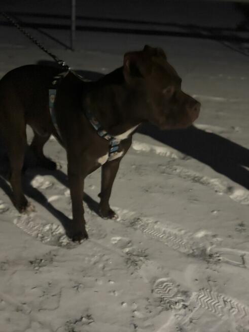 Oddam do odpowiedzialnego domu