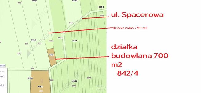 Działka Budowlana - rolna Urzędów ul. Spacerowa 80ar