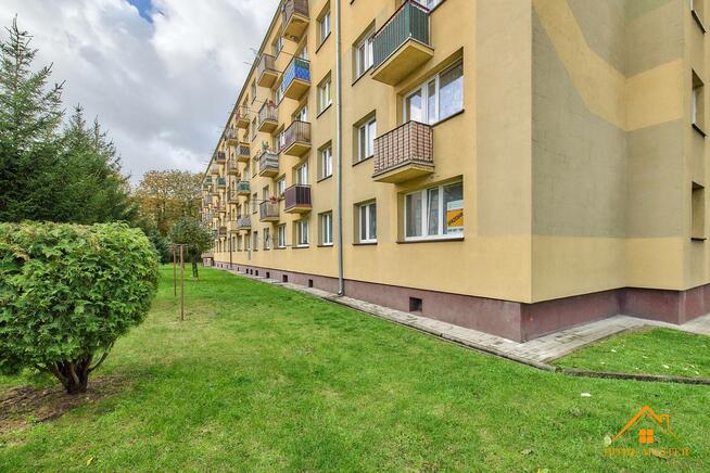 dwa pokoje na parterze w centrum