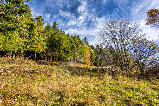 Działki z pięknym widokiem na Babią Górę