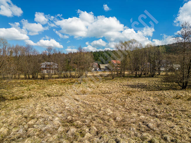 Działka budowlana blisko lasu