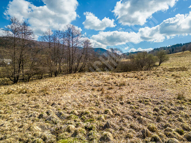 Działka budowlana blisko lasu