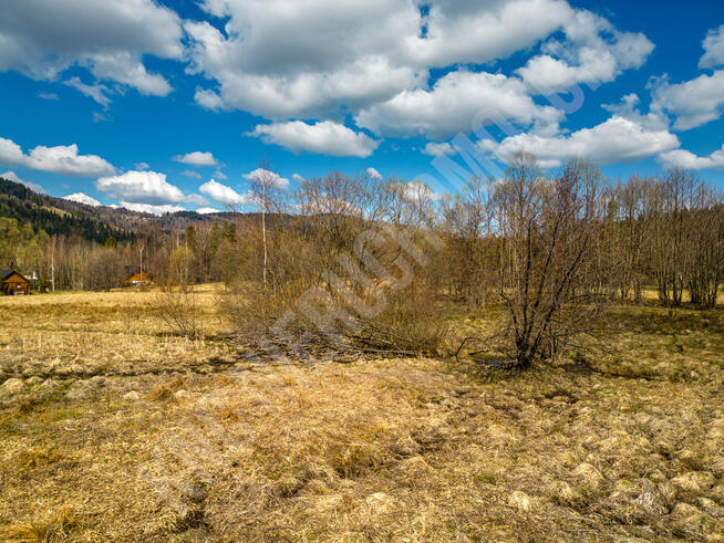 Działka budowlana blisko lasu