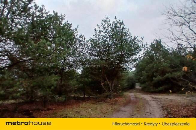 wolnostojący Nowa Kania, ul. Popowska