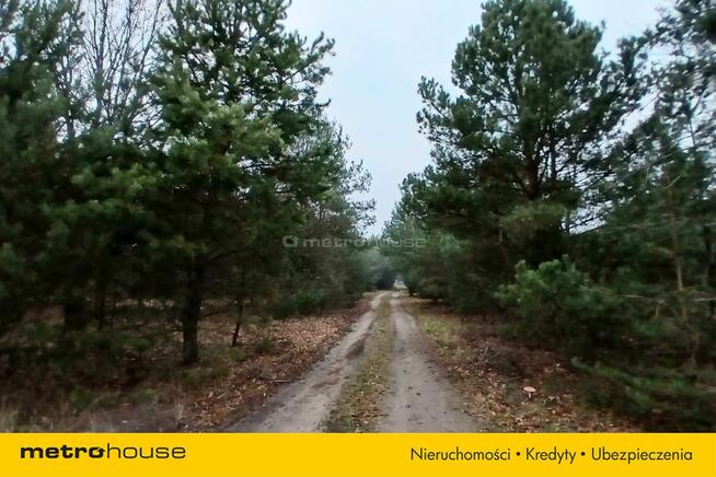 wolnostojący Nowa Kania, ul. Popowska