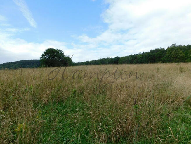 Działka inwestycyjna Stronie Śląskie,