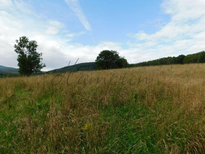 Działka inwestycyjna Stronie Śląskie,