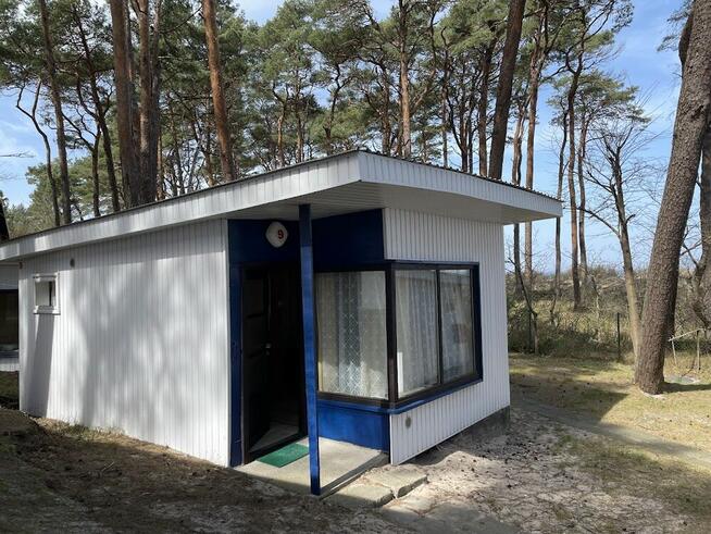 Z A T R U D N I M Y pokojową od kwietnia 2026