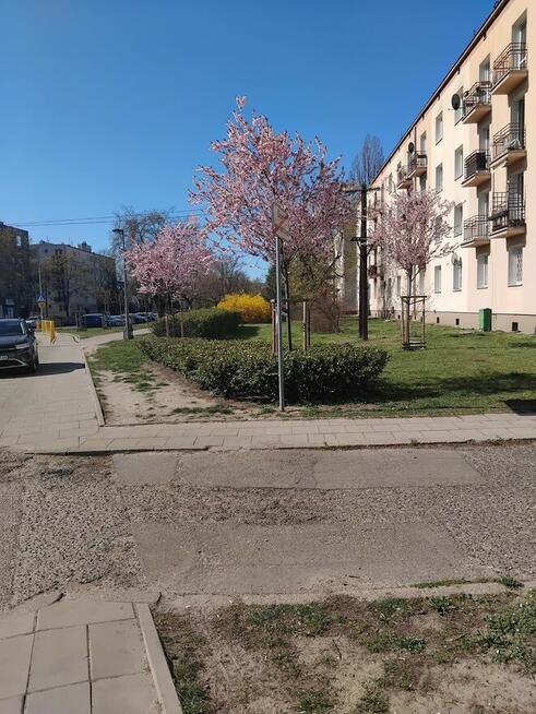 Mieszkanie 40m 2 pokoje Bezpośrednio