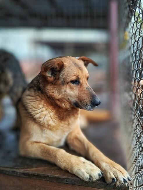 Linda - delikatna dusza szuka swojego człowieka!
