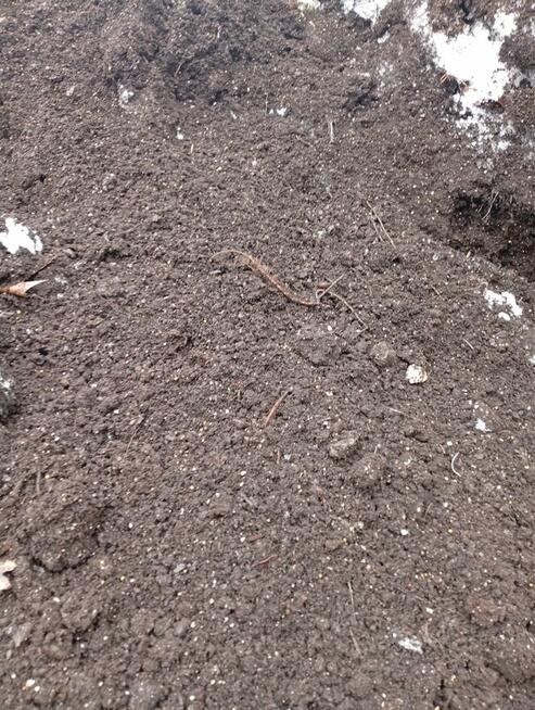 SPRZEDAM ZIEMIE PRUCHNICE