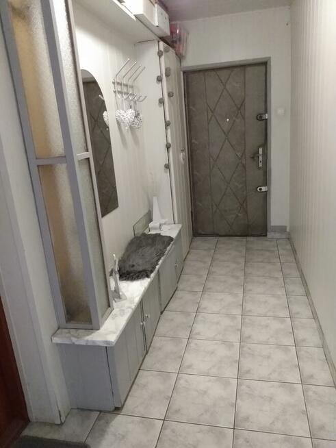 Wynajmę mieszkanie w Kaliszu