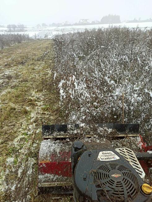 Koszenie trawy nieużytków, bijakowa, karczowanie, usługi ogr