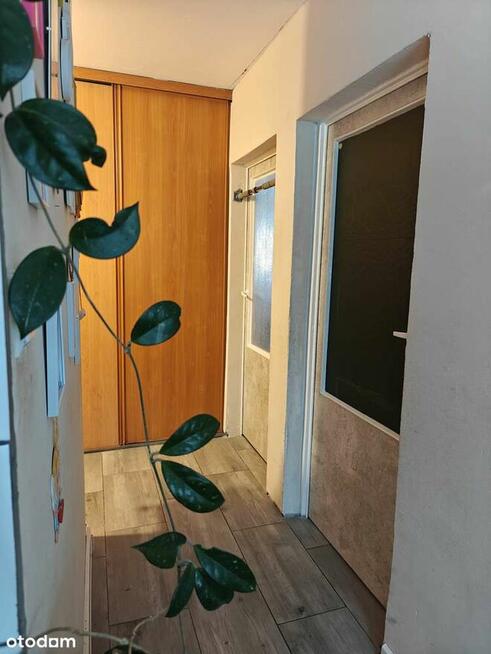 Mieszkanie na sprzedaż.