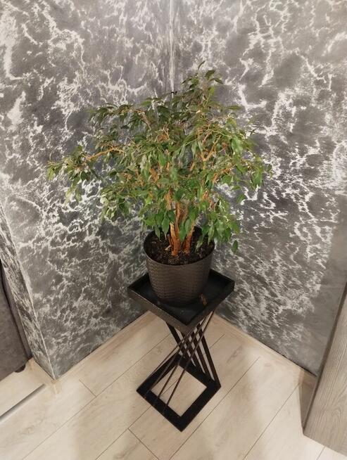 Kwietnik, stojak, postawa donicy