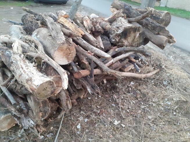 suche DREWNO LIŚCIASTE osika DO KOMINKA LUB PIECA po 75 zł