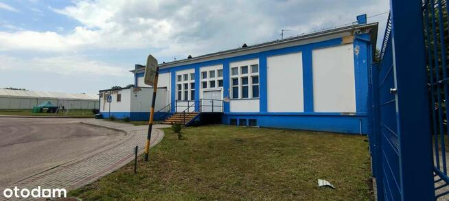 Lokal użytkowy na Wynajem