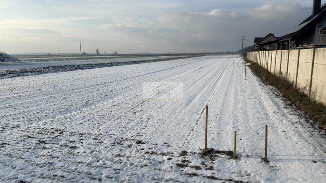 Działka rolna Czeska Wieś gm. Olszanka