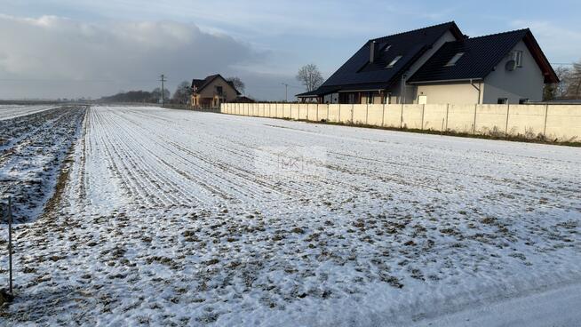 Działka rolna Czeska Wieś gm. Olszanka