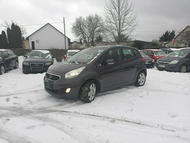 Śliczna Venga benzyna