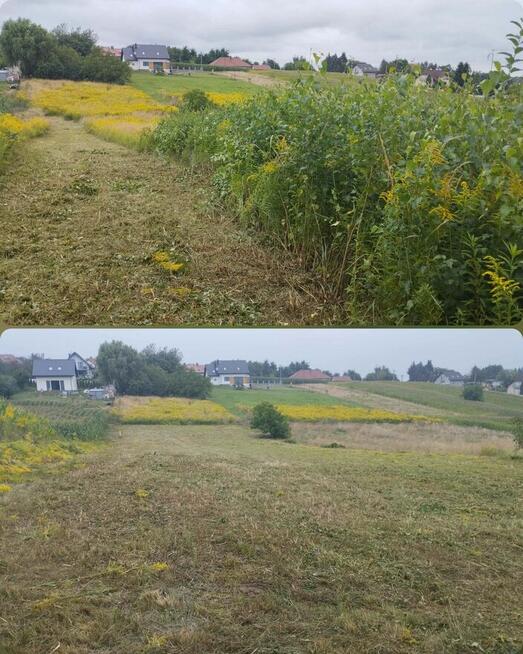 Koszenie trawy, nieużytków, kosiarka bijakowa, karczowanie