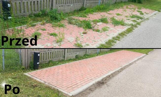 wycinka drzew usługi rębakiem koszenie traw karczowanie