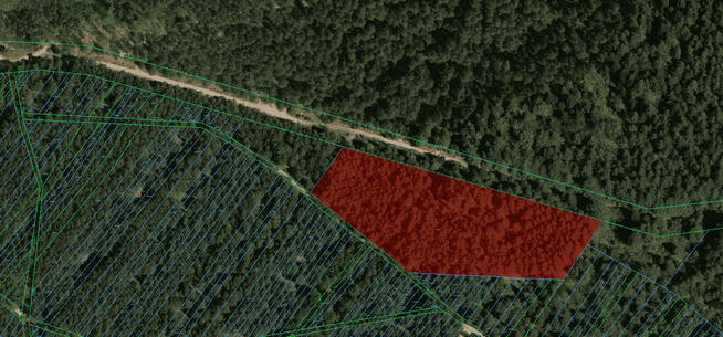 Działka leśna na sprzedaż Wola Zarczycka k. Leżajska