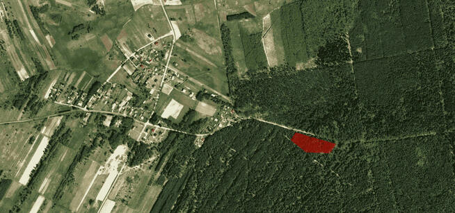 Działka leśna na sprzedaż Wola Zarczycka k. Leżajska