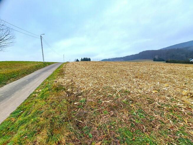 Działka widokowa 41,89 ar z warunkami zabudowy Srogów Grn.