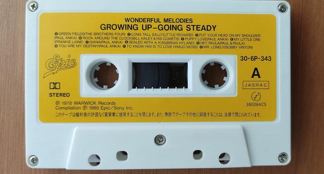 Wonderful Melodies: Growing Up - Going Steady Epic/Sony kase