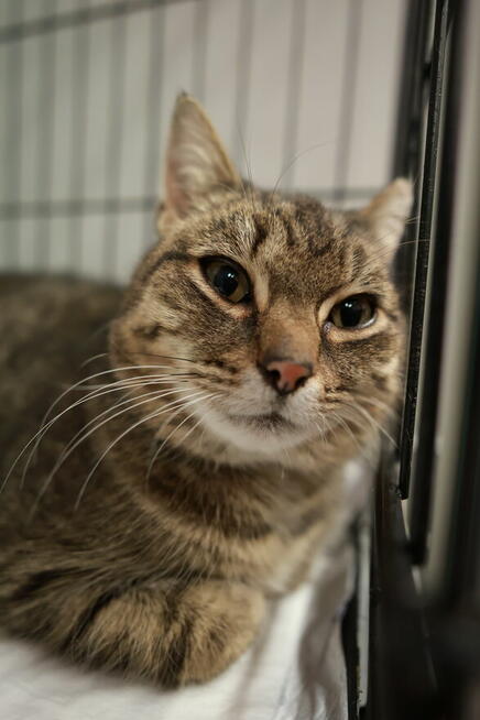 Czy słodką Bunię czeka samotność?