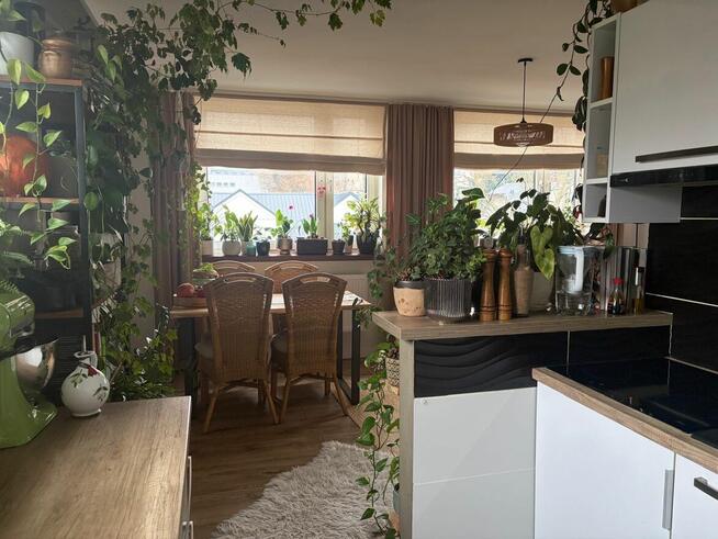 Mieszkanie Bielsko Biała 54m 3p - Super stan po remoncie