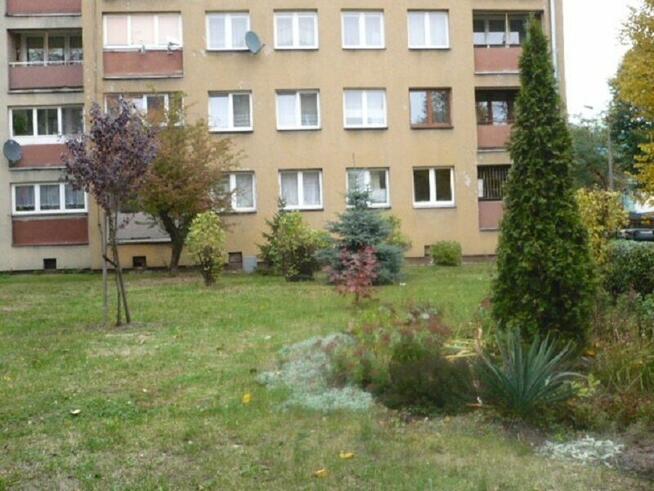 mieszkanie 3-pokojowe z centralnym loggia