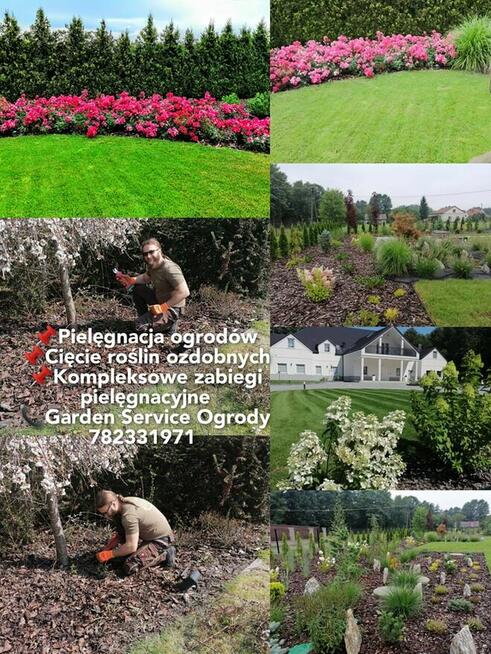 Zakładanie ogrodów, kompleksowe usługi ogrodnicze.