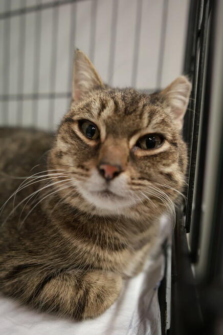 Czy słodką Bunię czeka samotność?