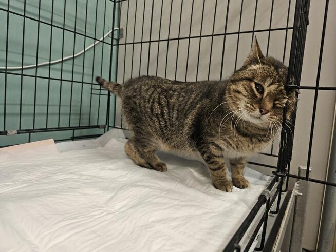 Czy słodką Bunię czeka samotność?