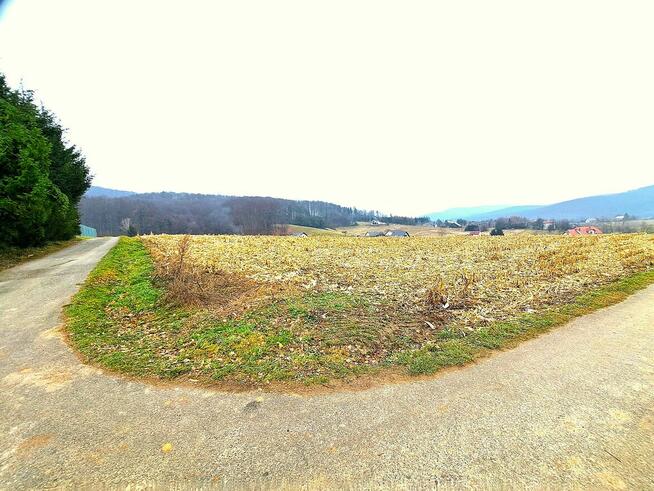 Działka widokowa 41,89 ar z warunkami zabudowy Srogów Grn.